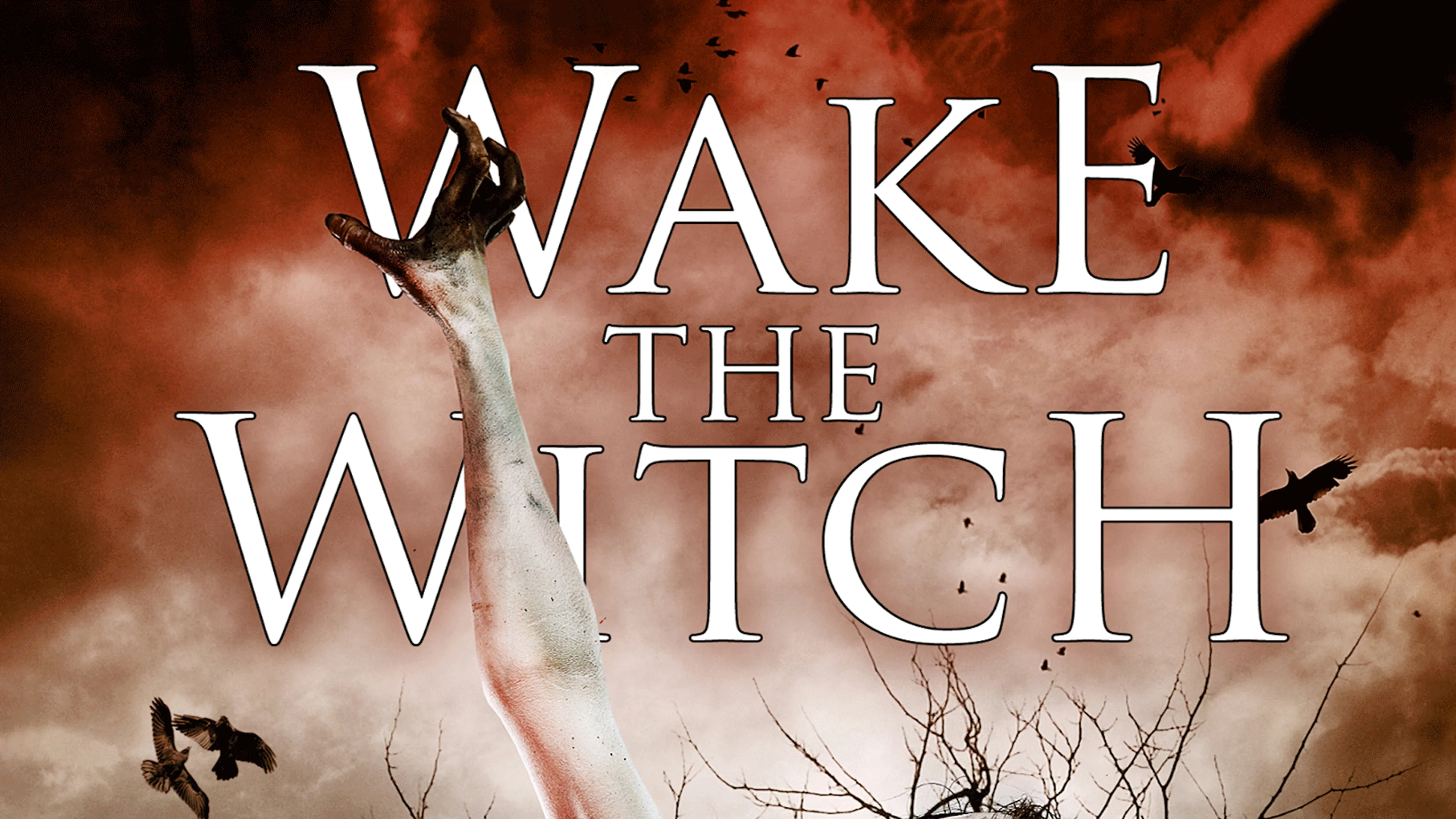 Wake the Witch poster